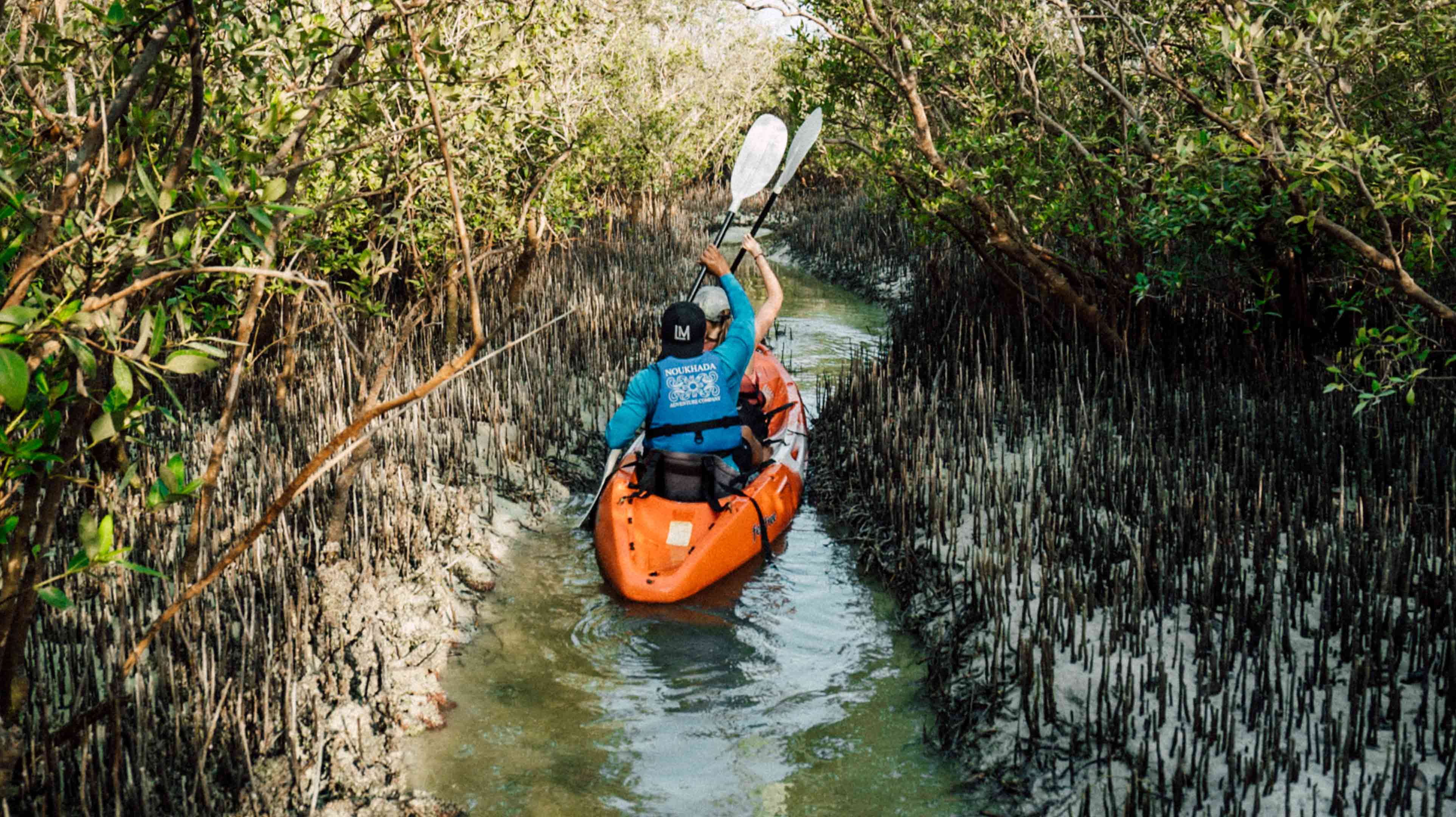 Пара плывет на каяке по реке сквозь мангровый лес