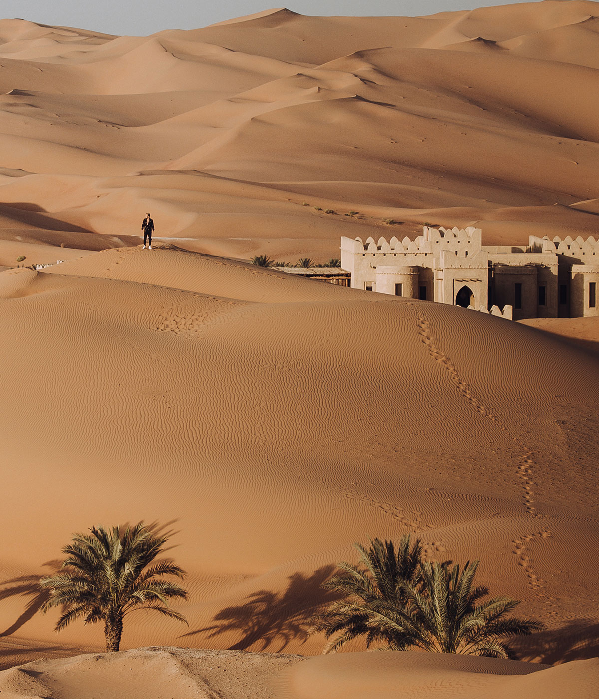 Dune de sable dans le climat sec et aride de l'Arabie, Abu Dhabi, Afrique Plein air