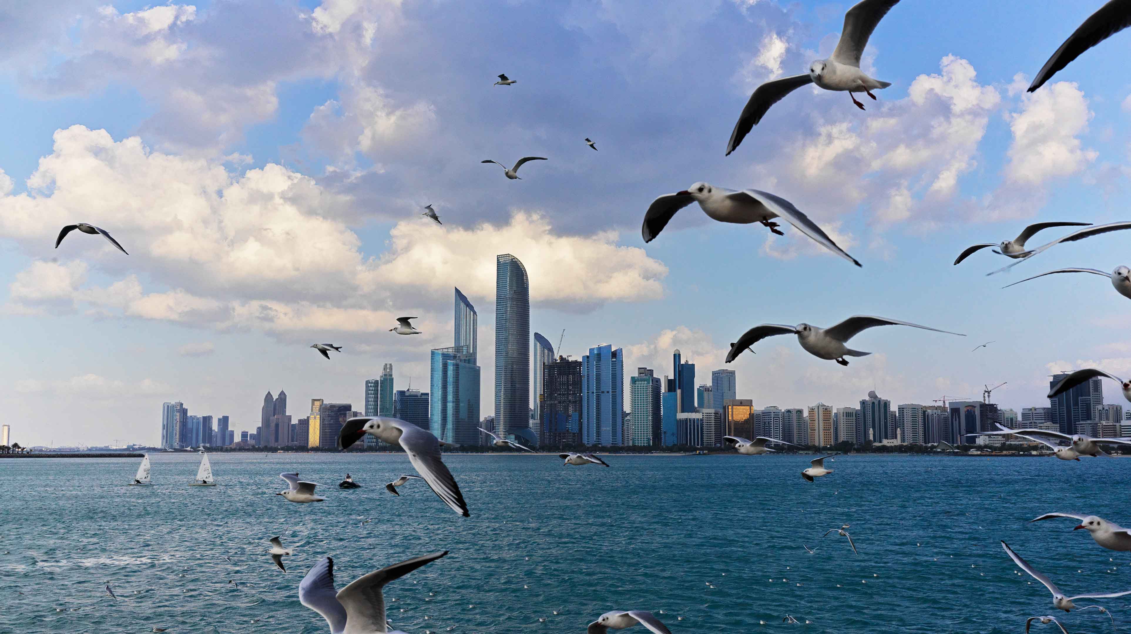Möwen fliegen am Himmel über Wolkenkratzern an der Abu Dhabi Corniche