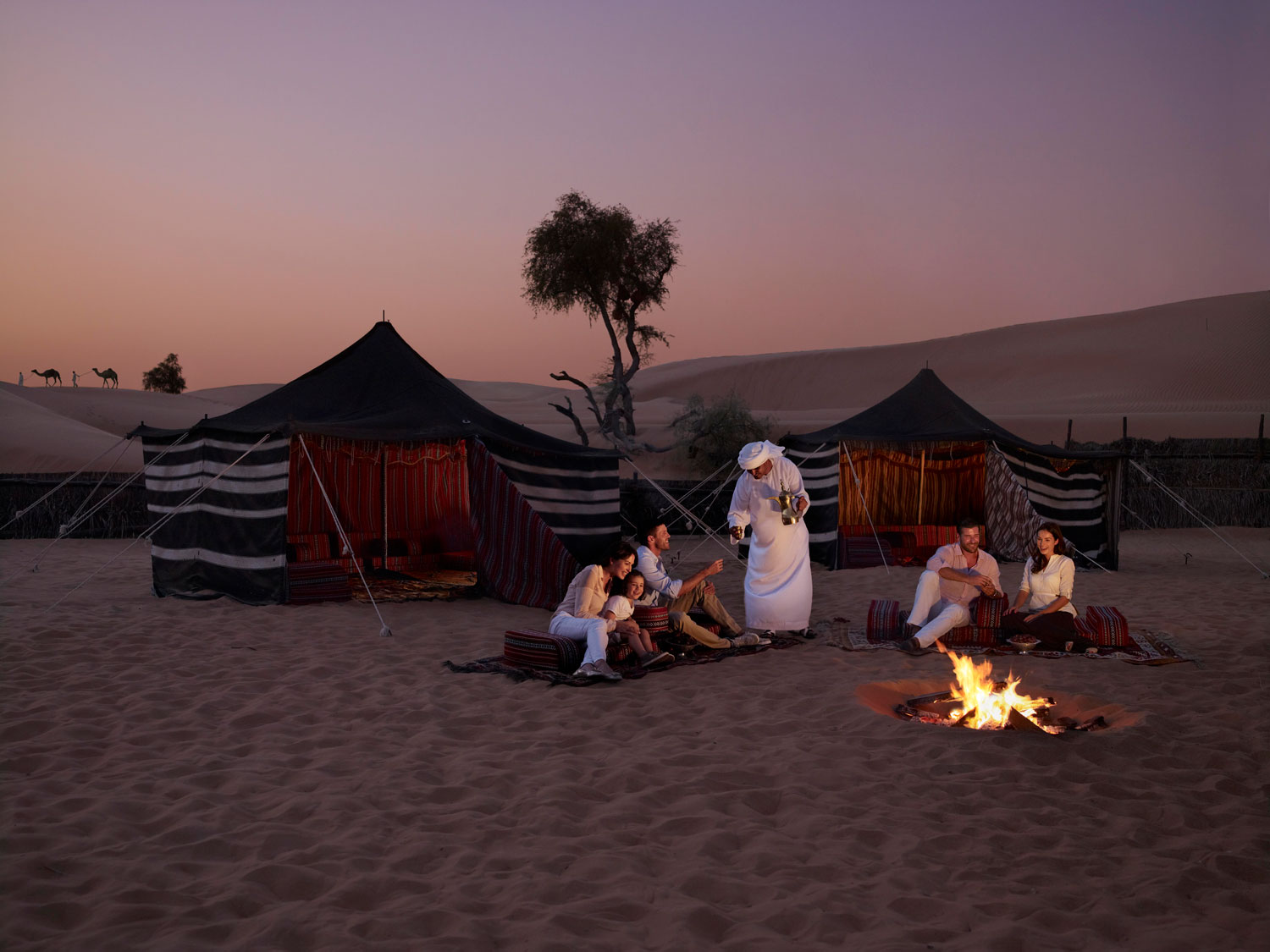 Explore Abu Dhabi's desert