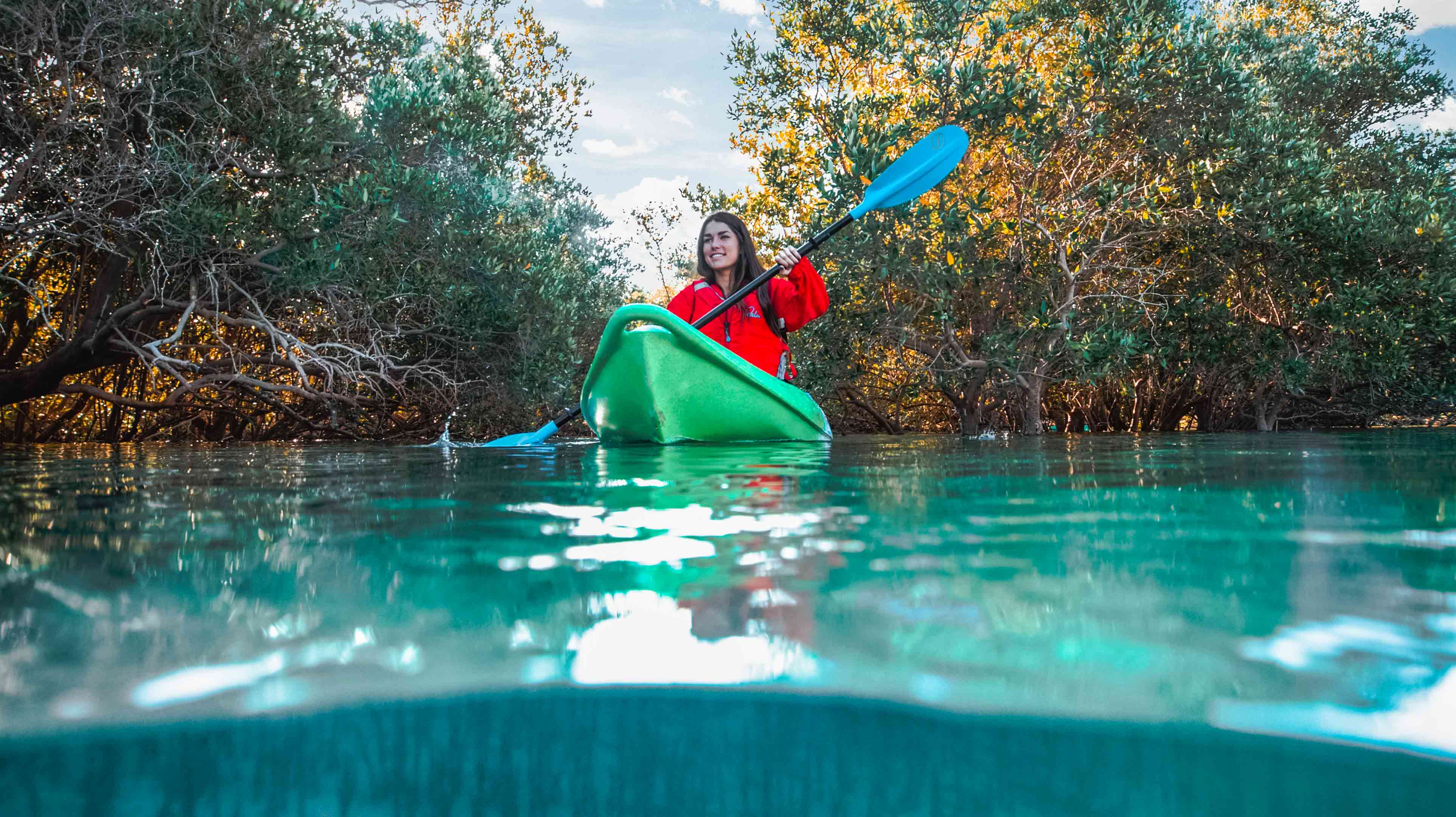 Woman on a blue and green kayak amidst mangroves trees in Mangrove National Park